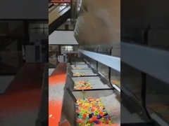 Διαλογιστής χρωμάτων τύπου ζώνης για πλαστικές νιφάδες και πελετόνια