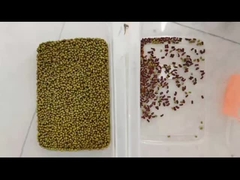 Χρώμα φασολιού