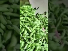 Διαλογιστής χρωμάτων Edamame