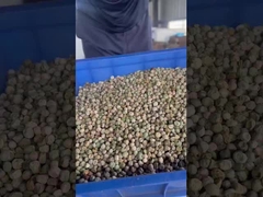 Τροποποιητής μπιζέλου