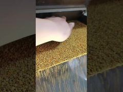 50-150 kg ανά ώρα κάμερα υψηλής ανάλυσης CCD διαλογή χρωμάτων για γύρη