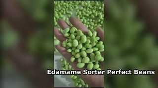 180 Crawler-Type Edamame Color Sorter -Υψηλή χωρητικότητα & χαμηλή θραύση.