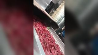 Δύο διαλογείς χρώματος τσίλι