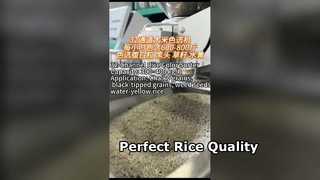 Διαλογής χρώματος ρυζιού 32 καναλιών για μικρούς έως μεσαίους μύλους ρυζιού.